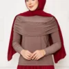 فيزون